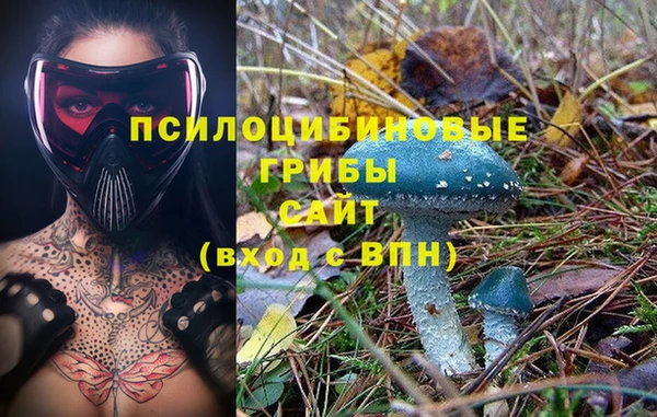 ECSTASY Алексеевка