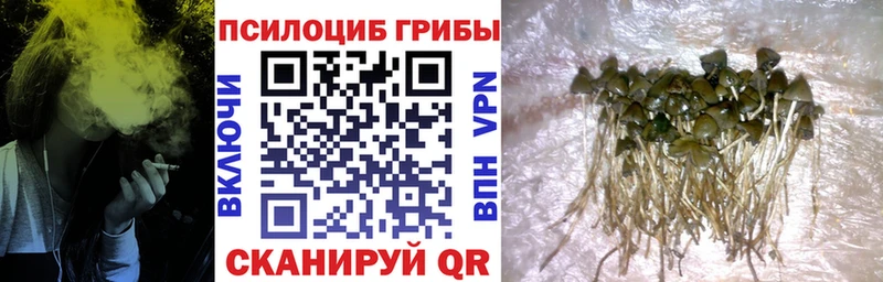 Псилоцибиновые грибы MAGIC MUSHROOMS  даркнет сайт  кракен онион  Калачинск 